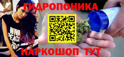 хмурый Дубна