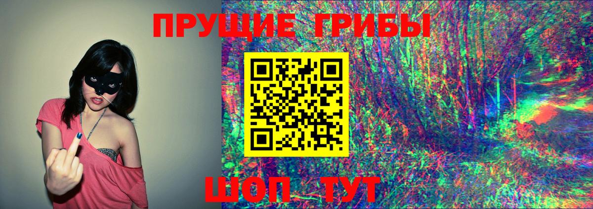 Галлюциногенные грибы Magic Shrooms  Галлюциногенные грибы Magic Shrooms  Вход с VPN  Киселёвск 