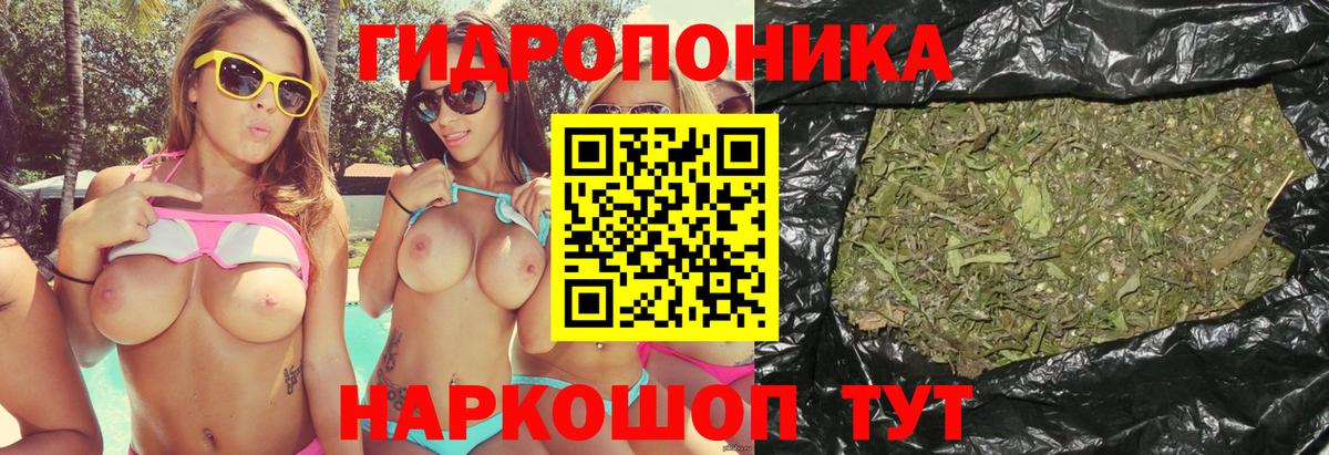 Марихуана планчик Киселёвск